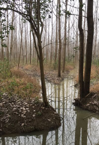 Agricultural lands reclaimed for parkland